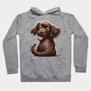 boykin spaniel confused Hoodie